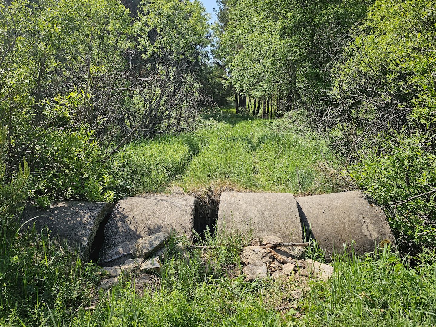 bugyly trail