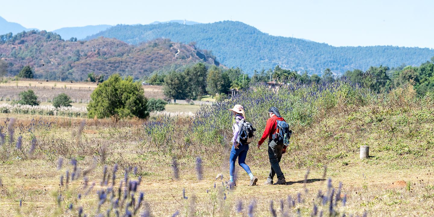 butterfly trails hike fly getaway