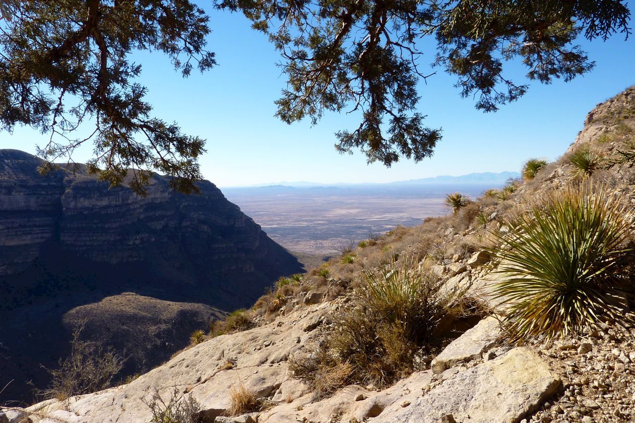 cactus to cloud trail run