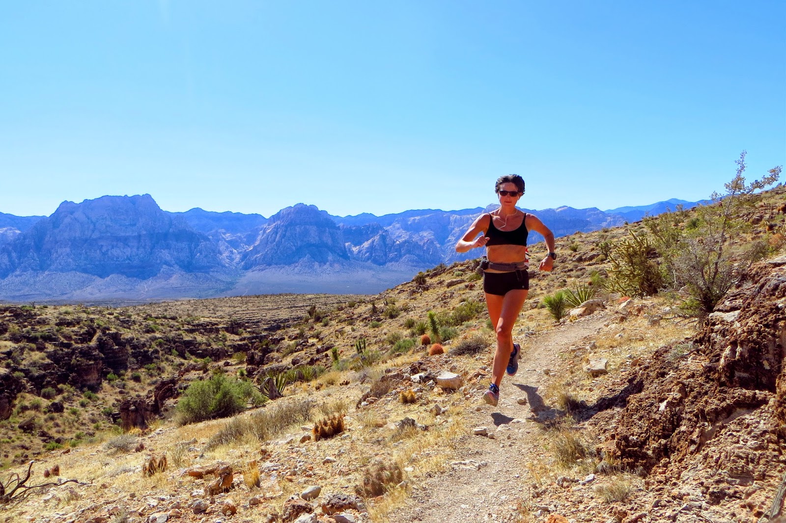 calico trail run