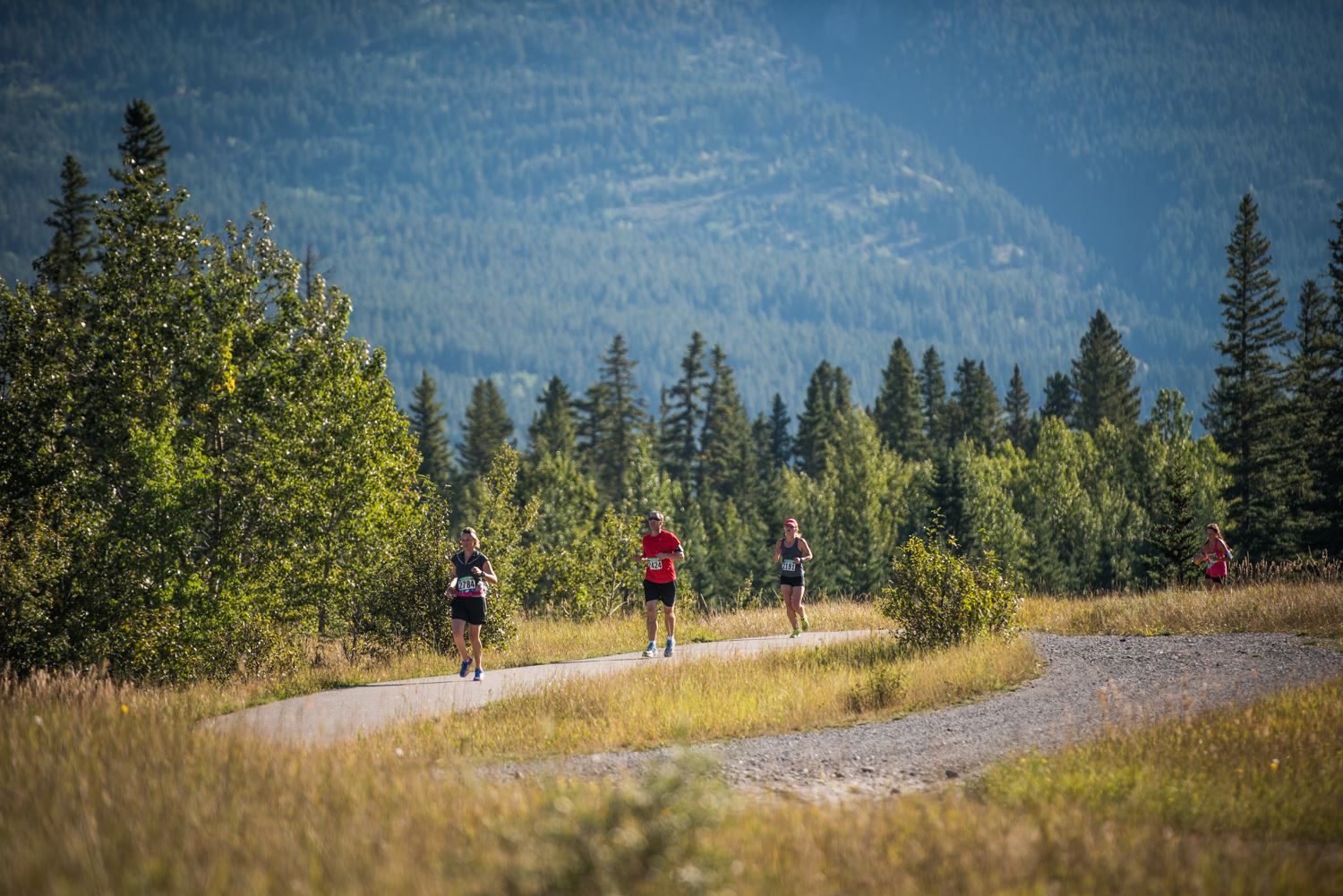 canmore rocky mountain half marathon