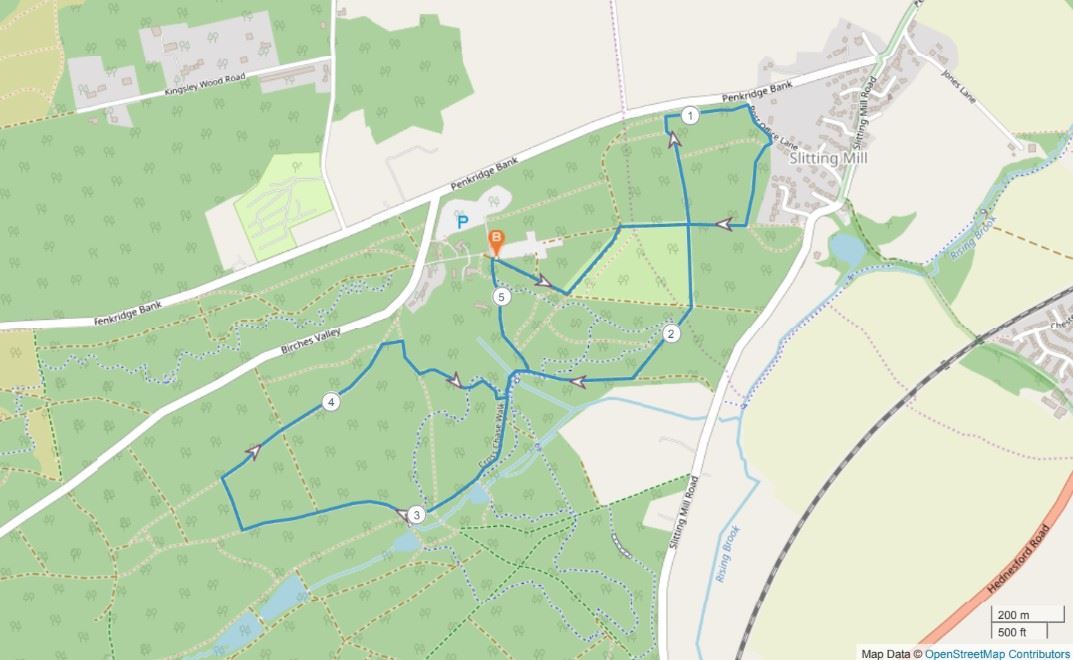 Cannock Chase Forest Christmas 10K and 5K Route Map