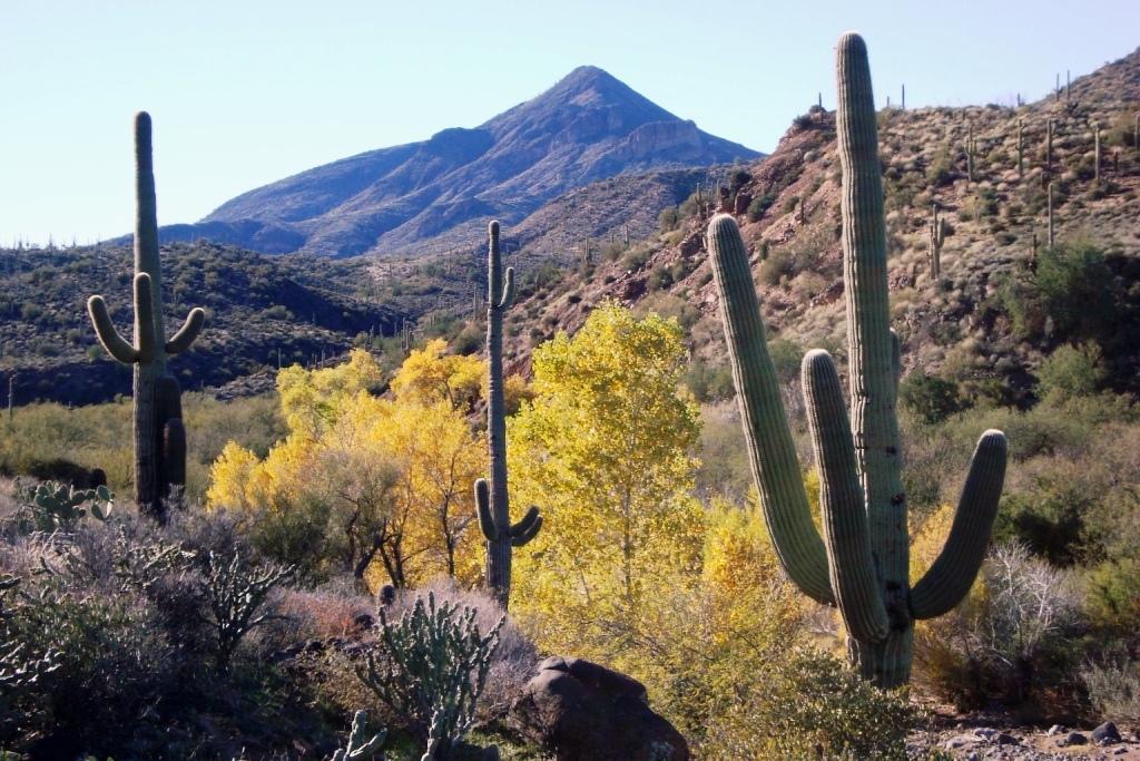 cave creek thriller 50k