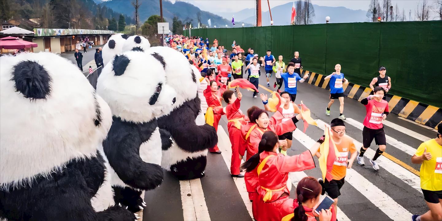 chengdu panda marathon