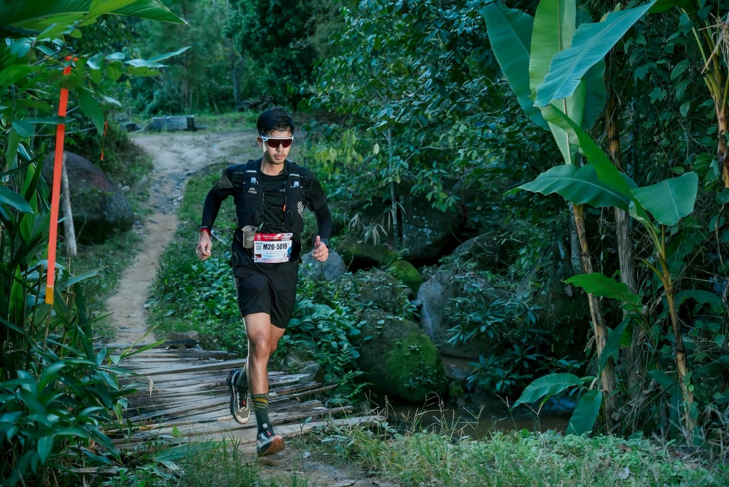 chiang dao 100