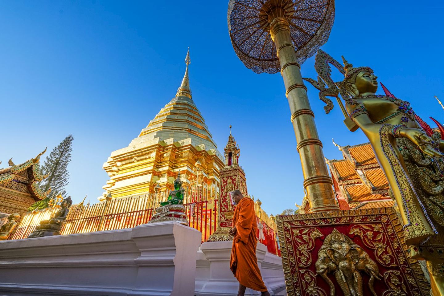 chiangmai international marathon