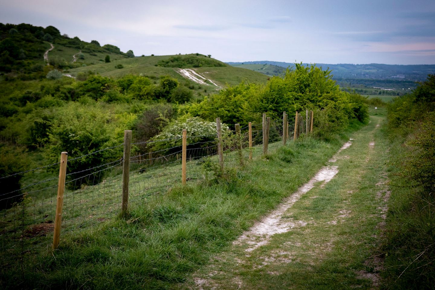 chiltern hills 100k