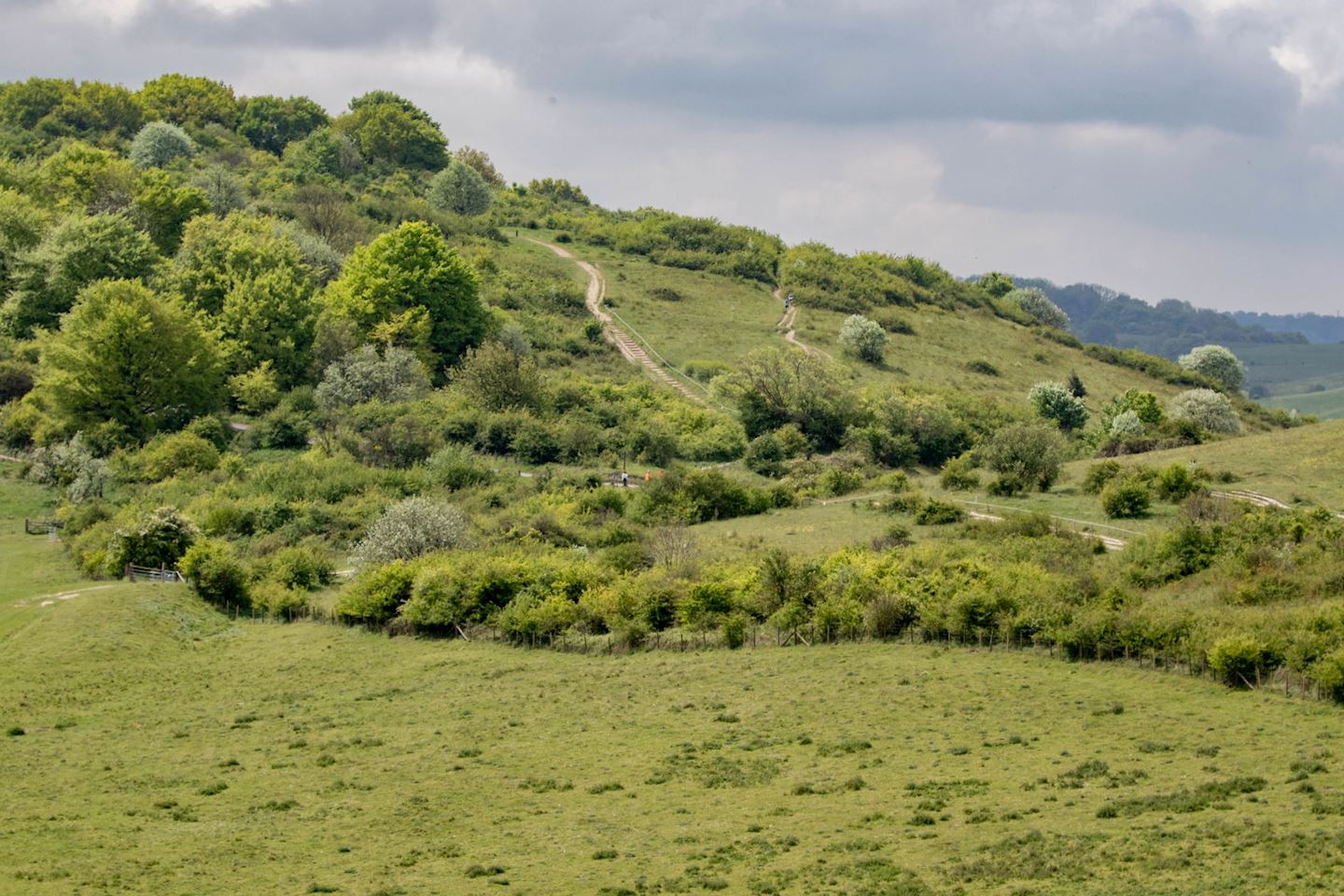 chiltern hills 100k