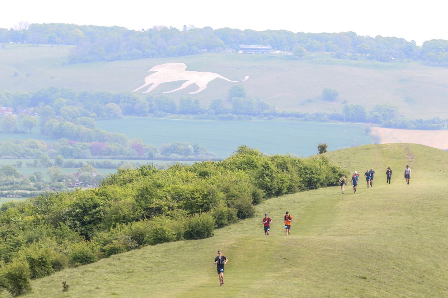 chiltern ridge ultra trail 50km