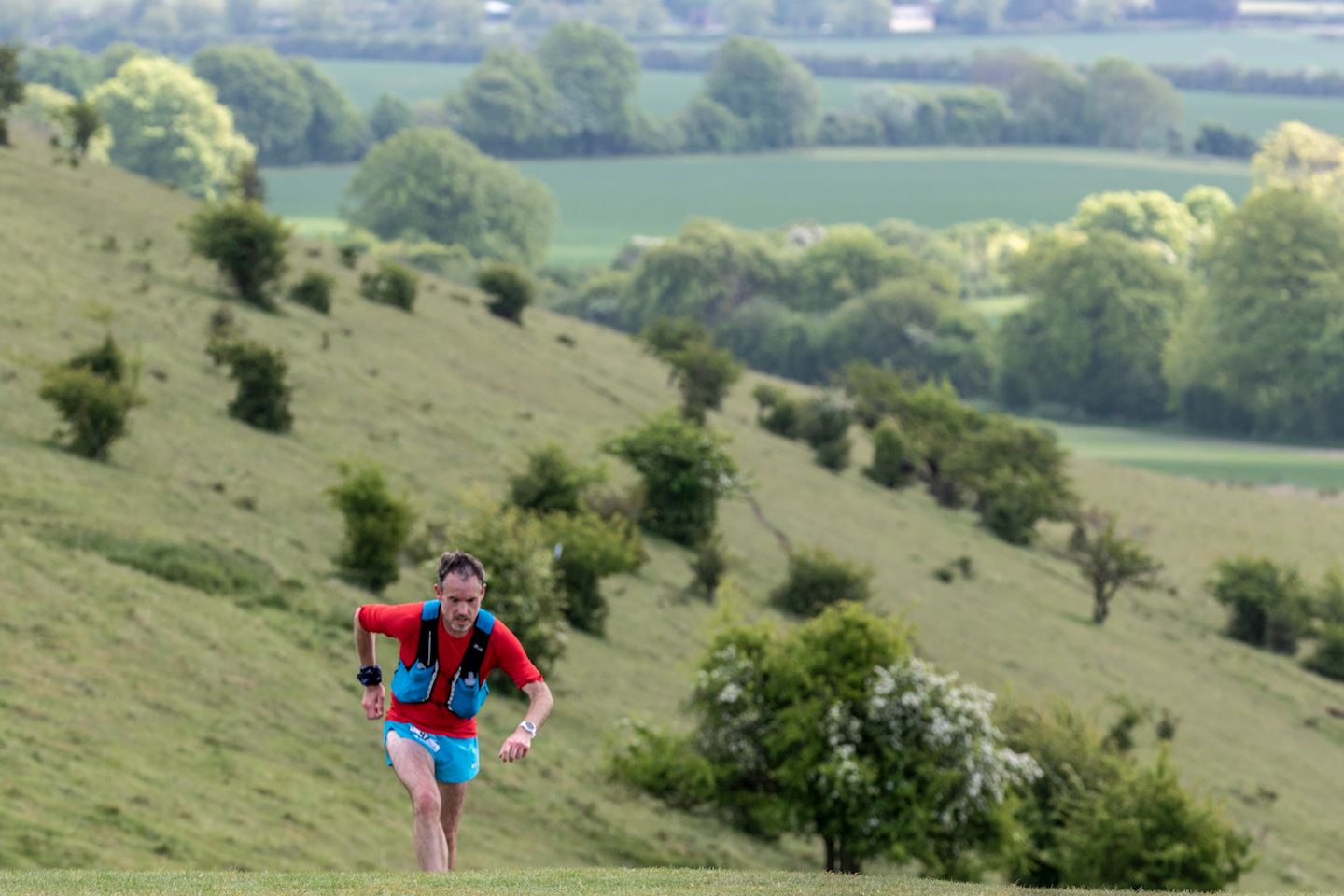 chiltern ridge ultra trail 50km