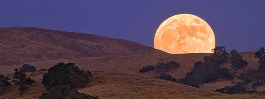 cool moon trail races