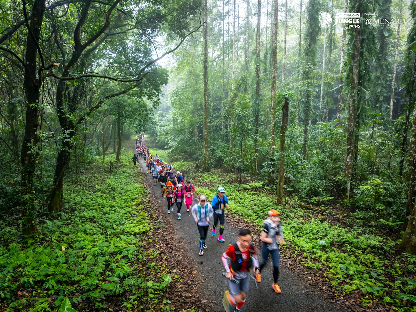 cuc phuong jungle paths