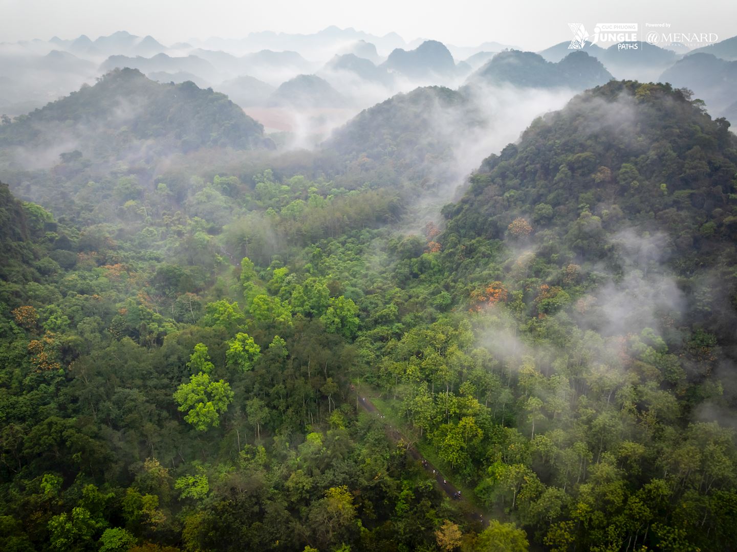 cuc phuong jungle paths