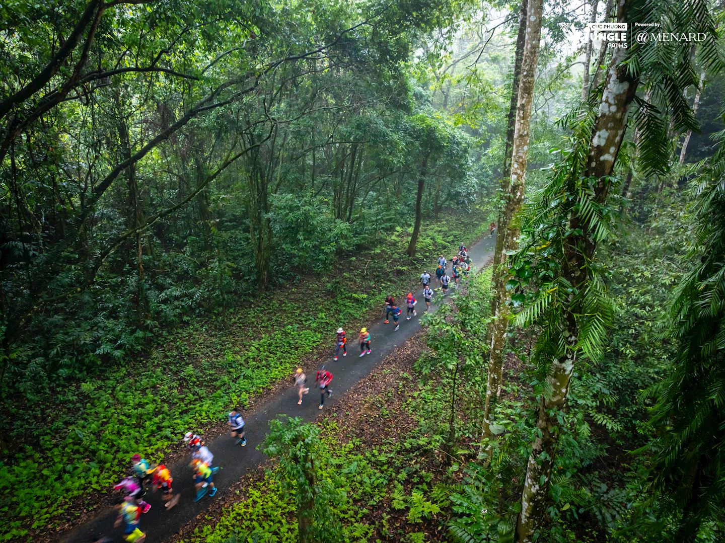 cuc phuong jungle paths