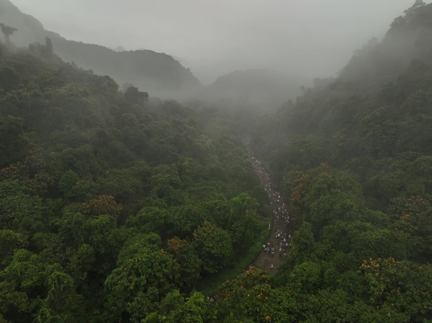 cuc phuong jungle paths
