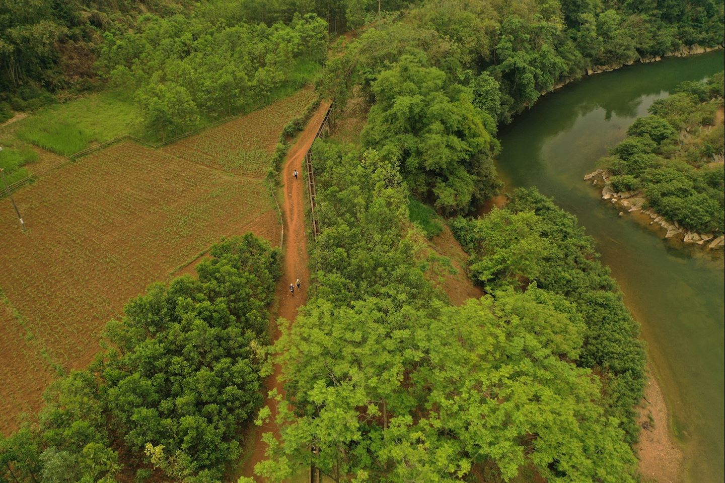 cuc phuong jungle paths