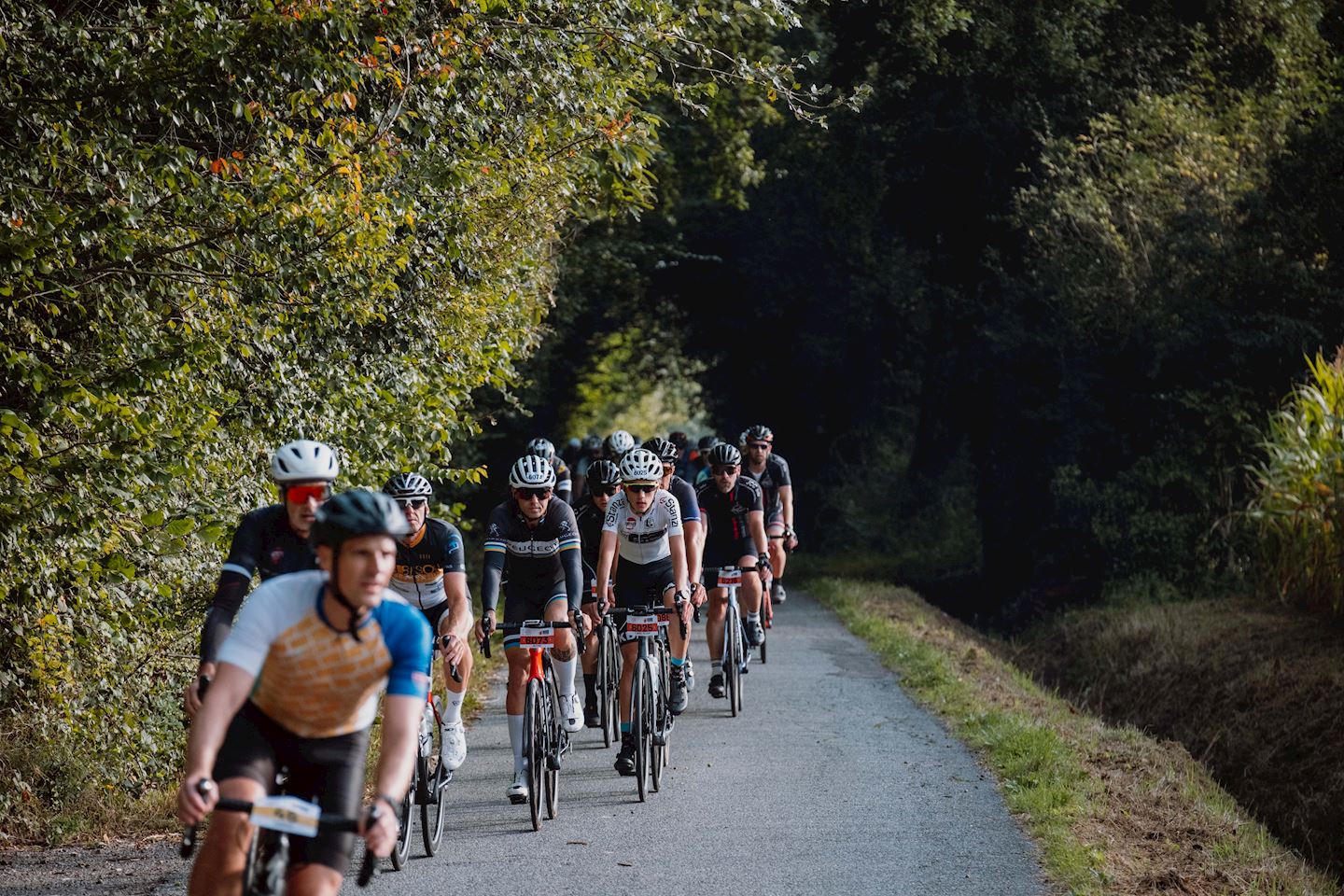 cycle flanders fields