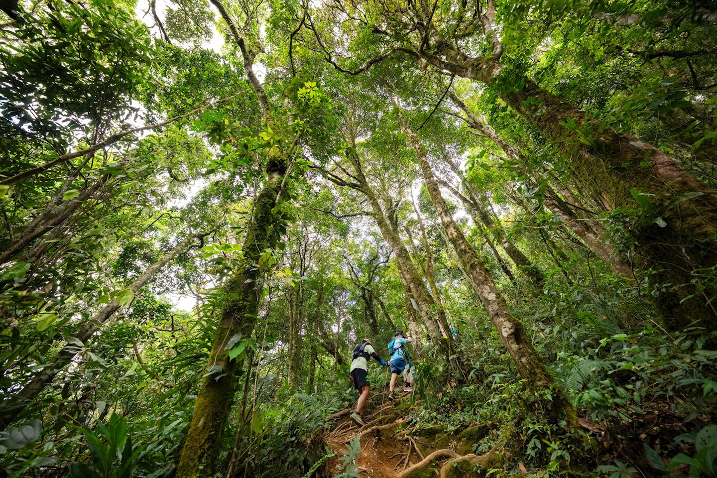 dalat ultra trail