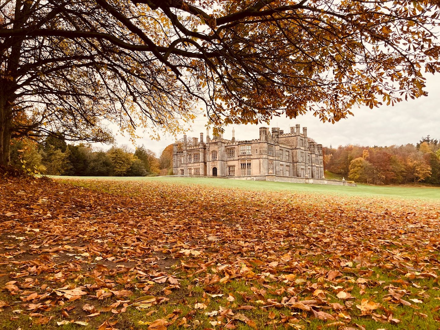 dalmeny trail half marathon
