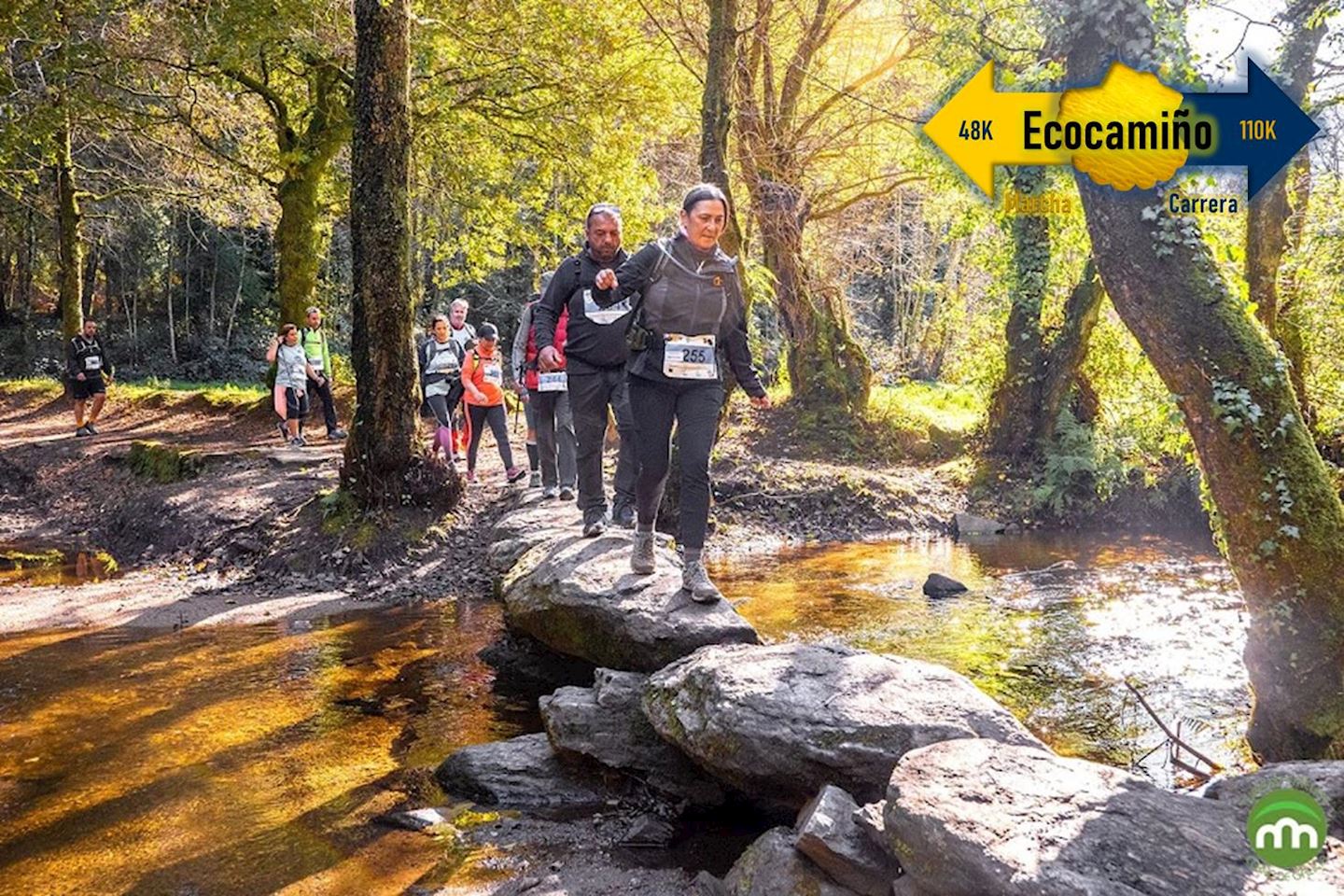 desafio internacional ecocamino on the way of st james