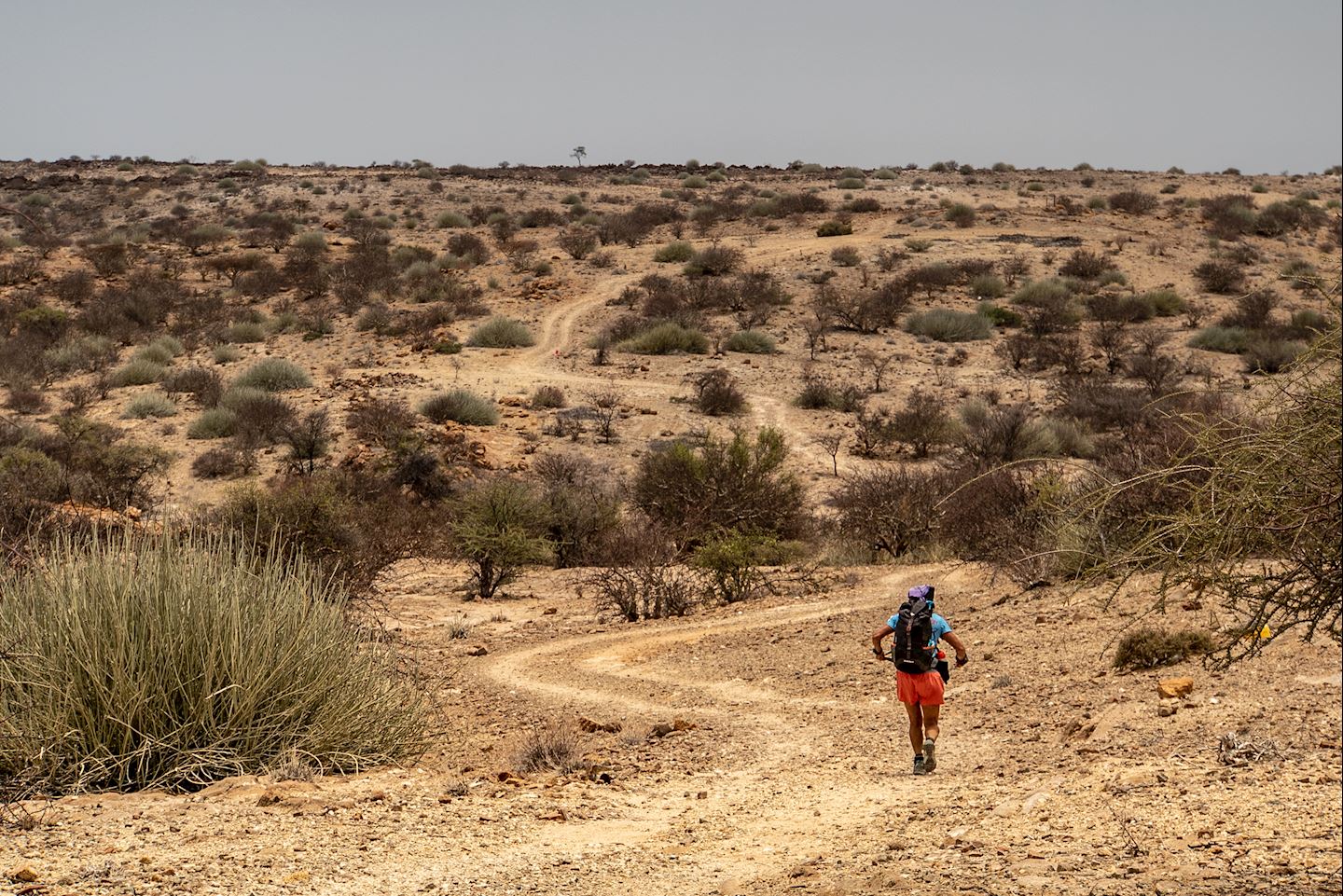 desert ultra