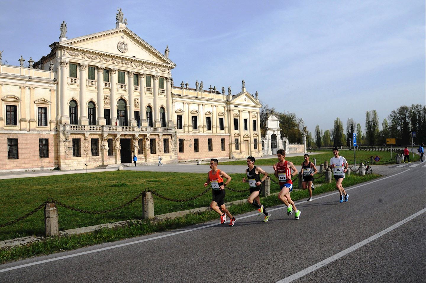 dogi s half marathon