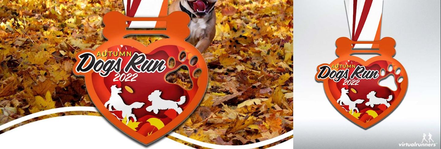 dogs autumn virtual run