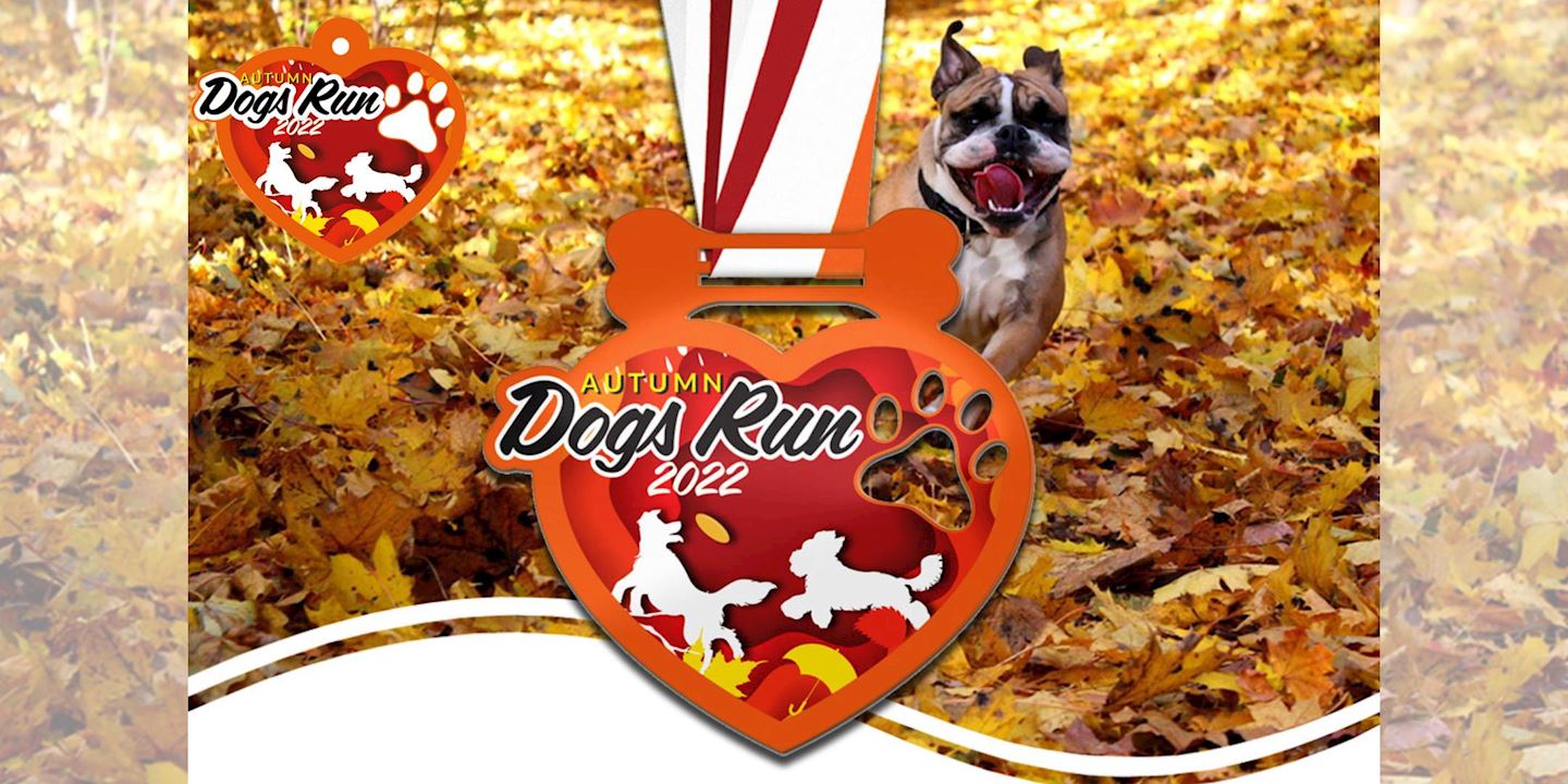 dogs autumn virtual run