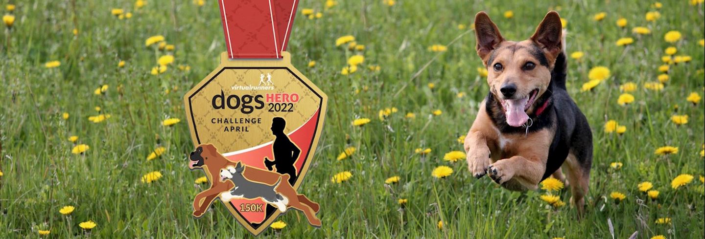dogs hero virtual challenge april