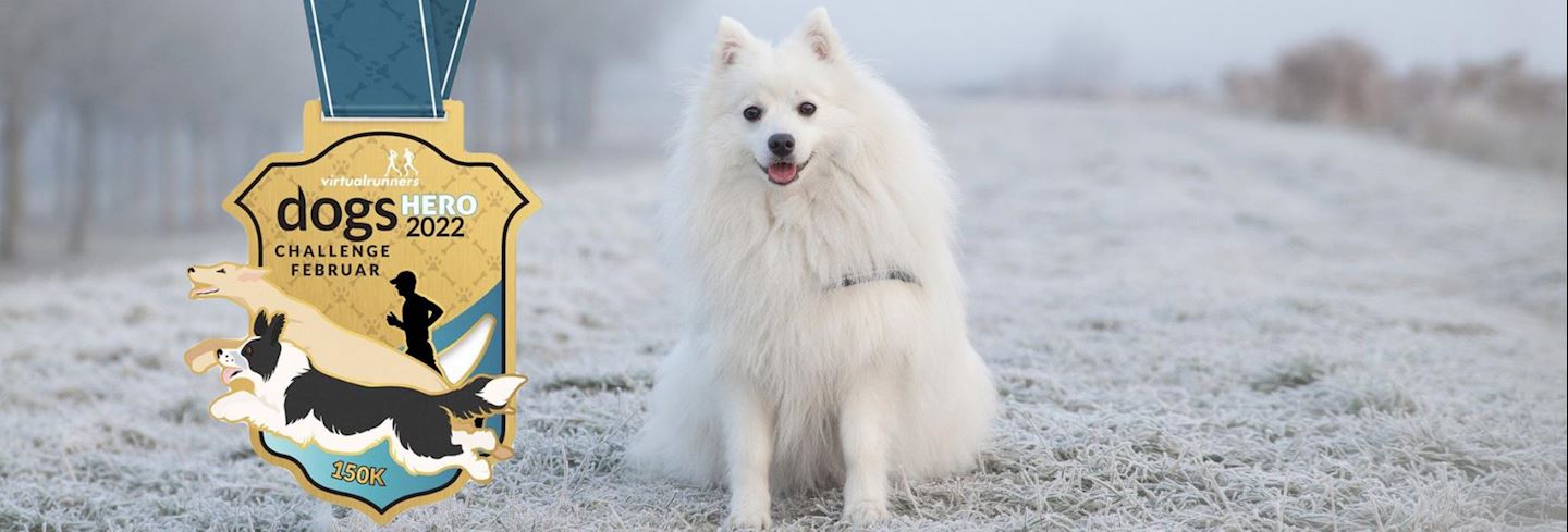 dogs hero virtual challenge february