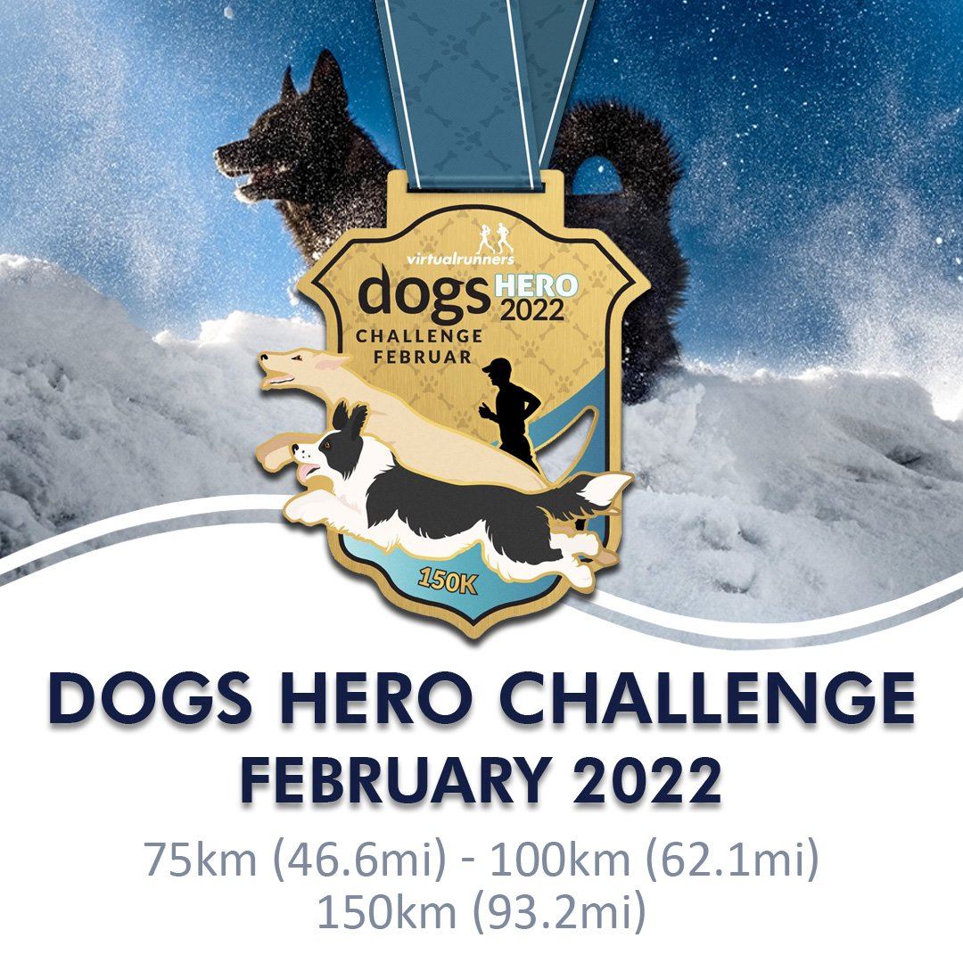 dogs hero virtual challenge february