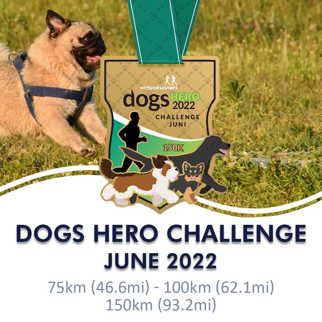 dogs hero virtual challenge june