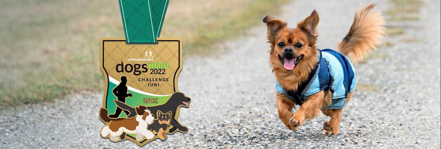 dogs hero virtual challenge june