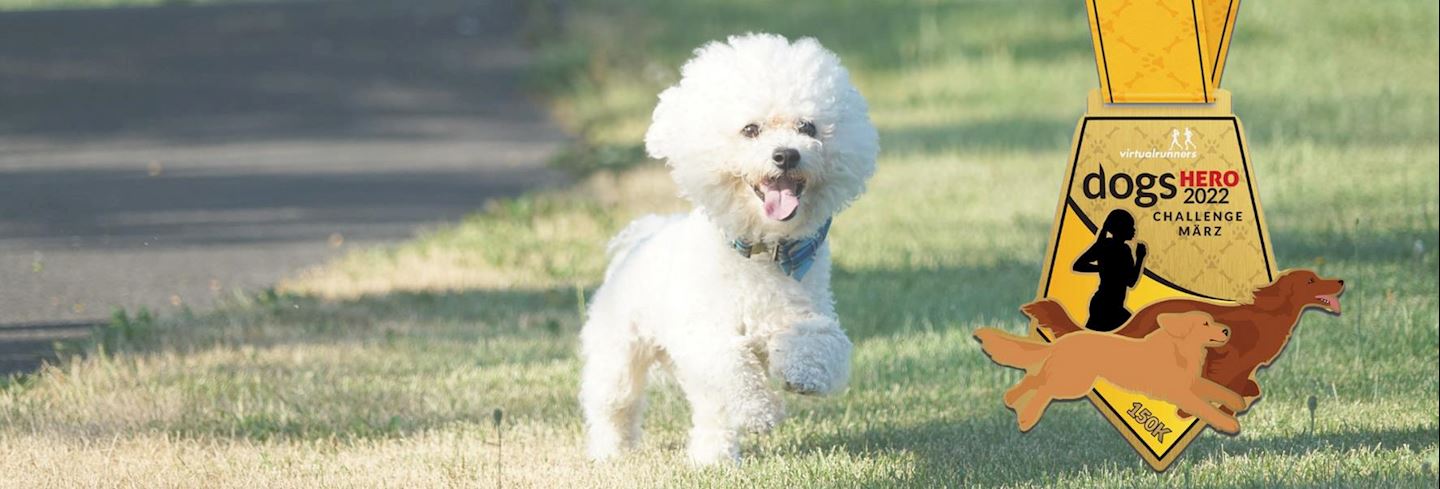 dogs hero virtual challenge march