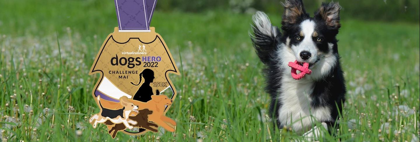 dogs hero virtual challenge may