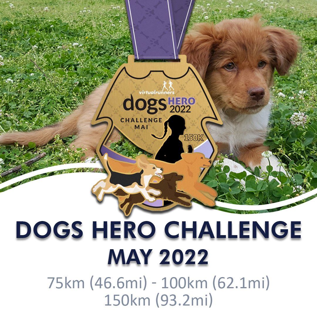 dogs hero virtual challenge may