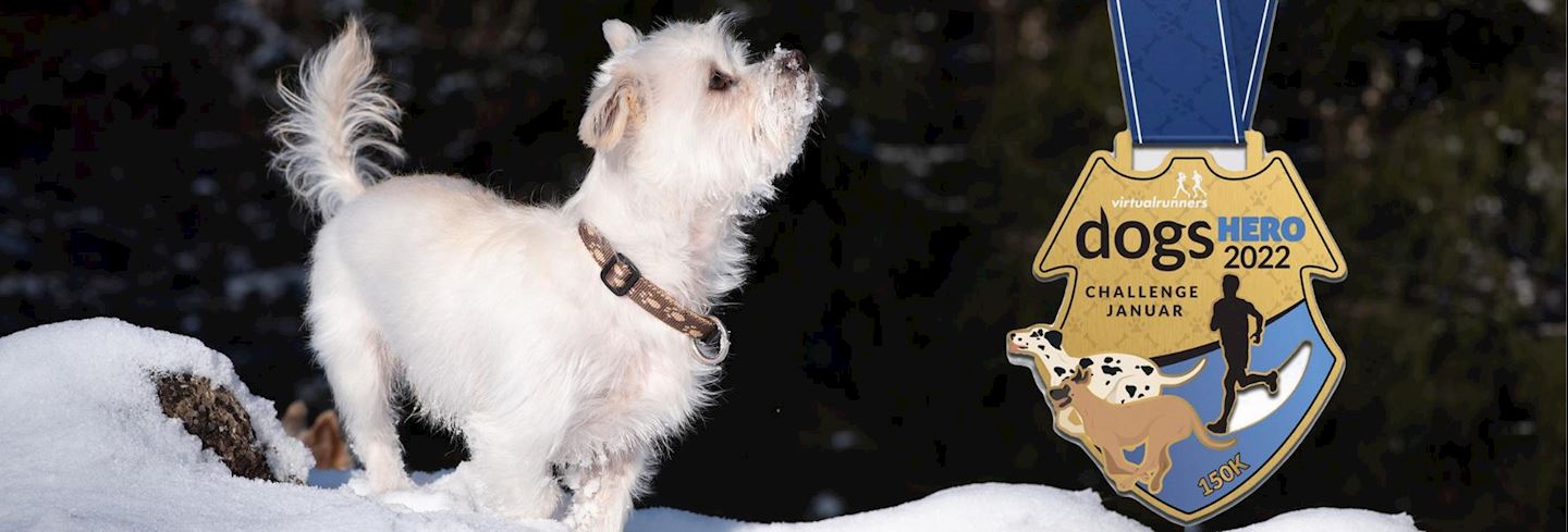 dogs hero virtual