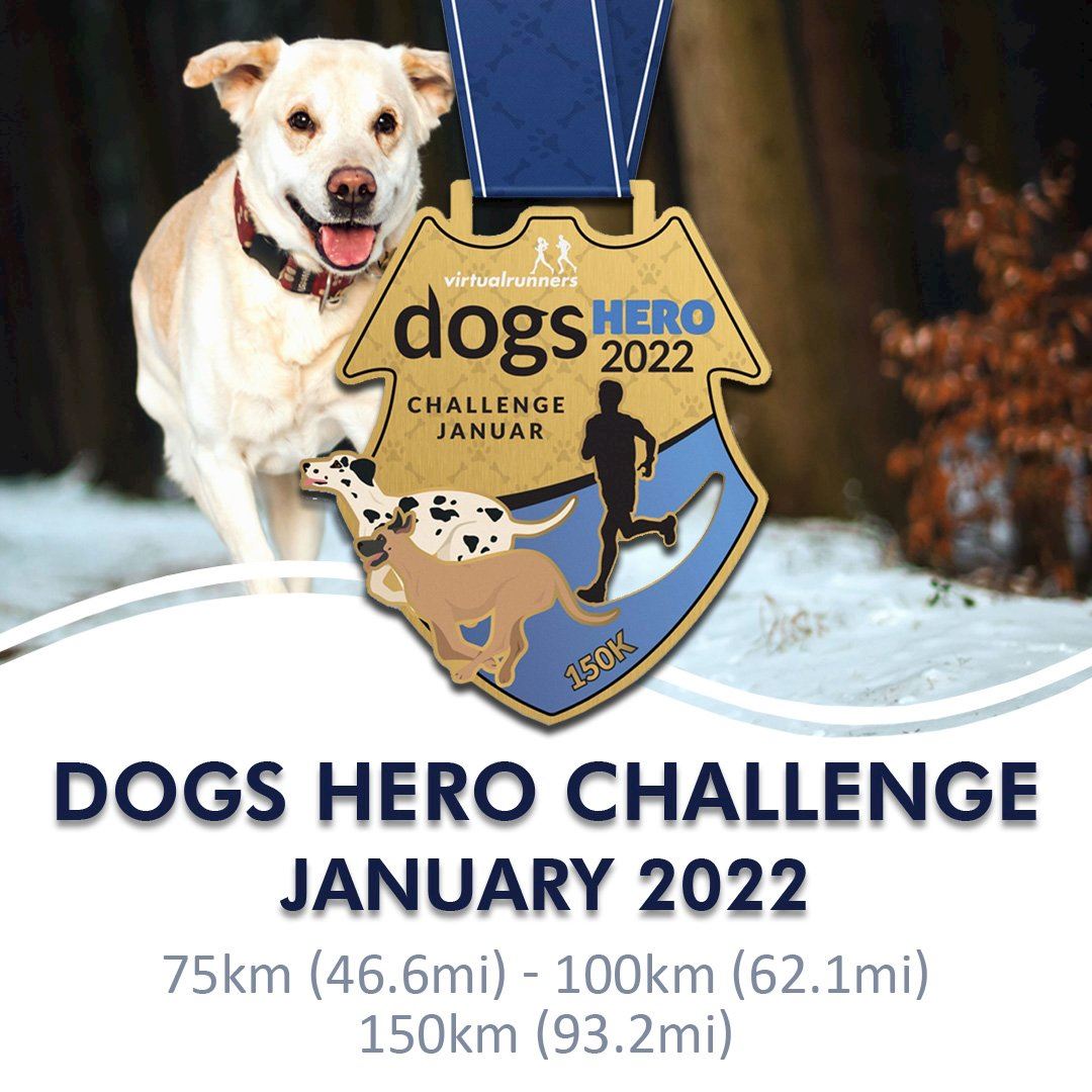 dogs hero virtual