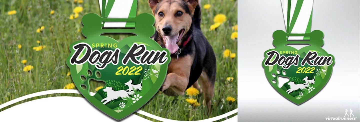 dogs spring virtual run