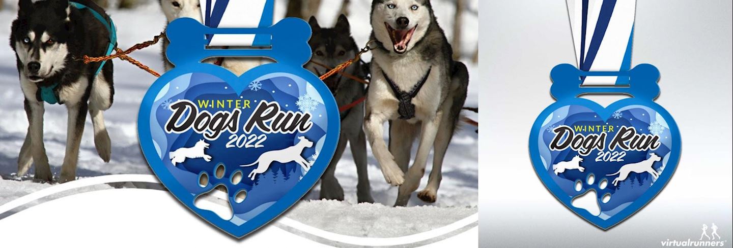 dogs winter run 2021