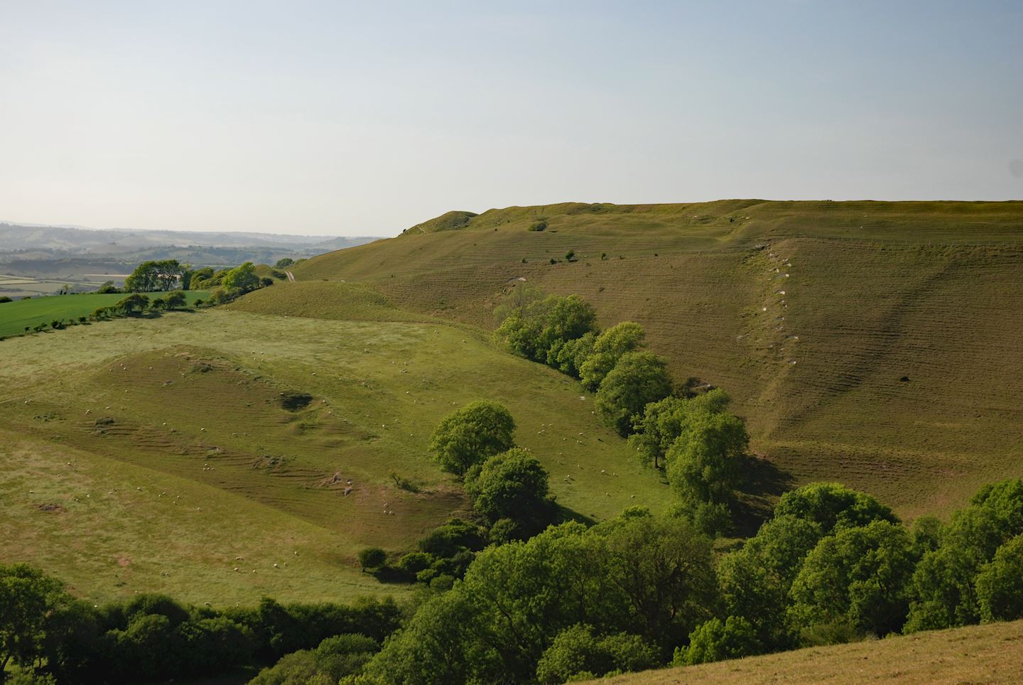 dorset hillfort ultra