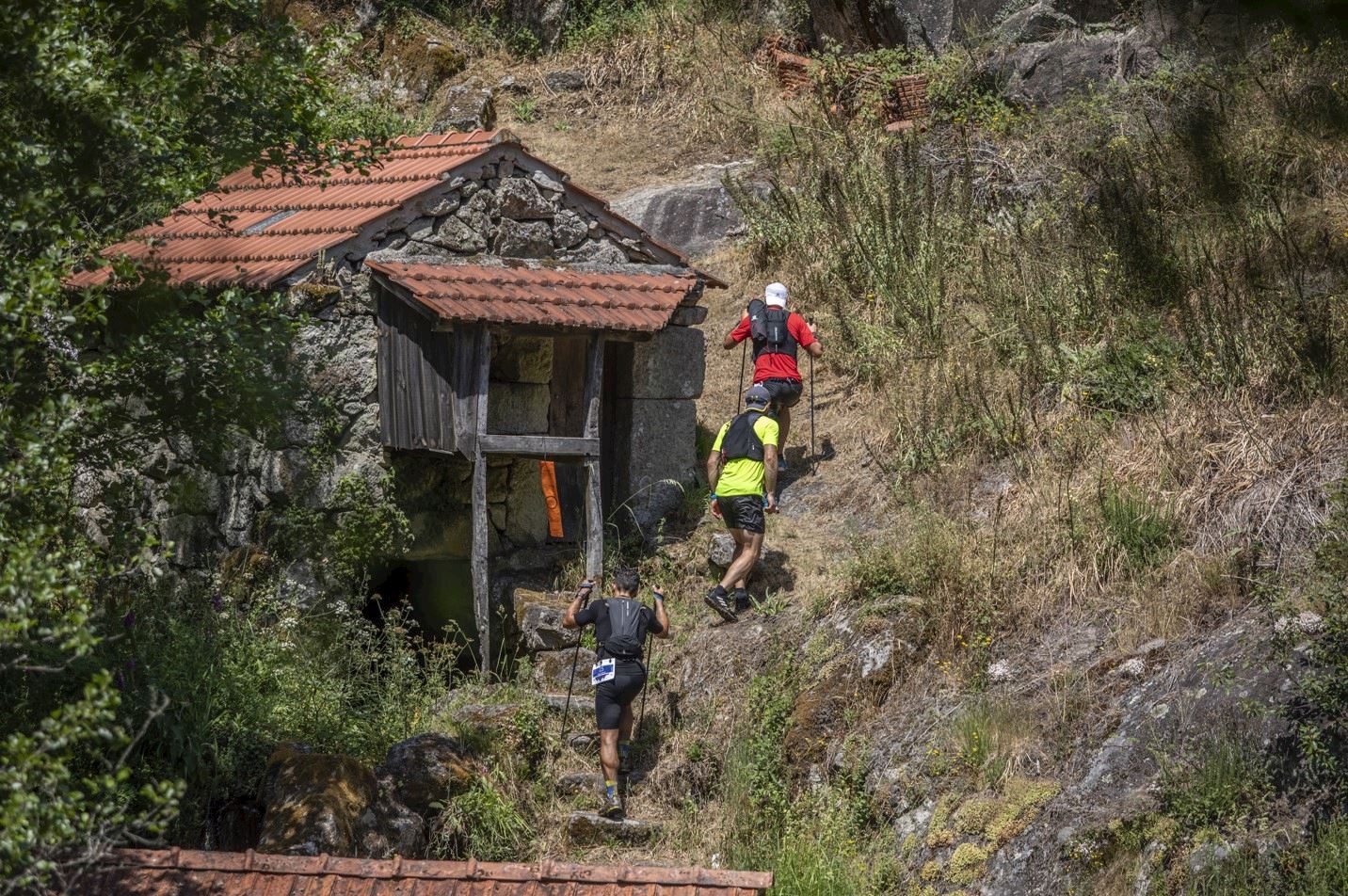 douro montemuro ultra trilhos
