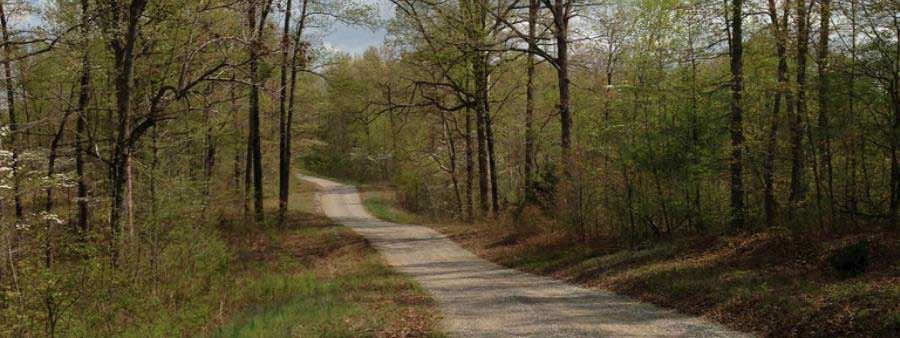 dry creek trail races