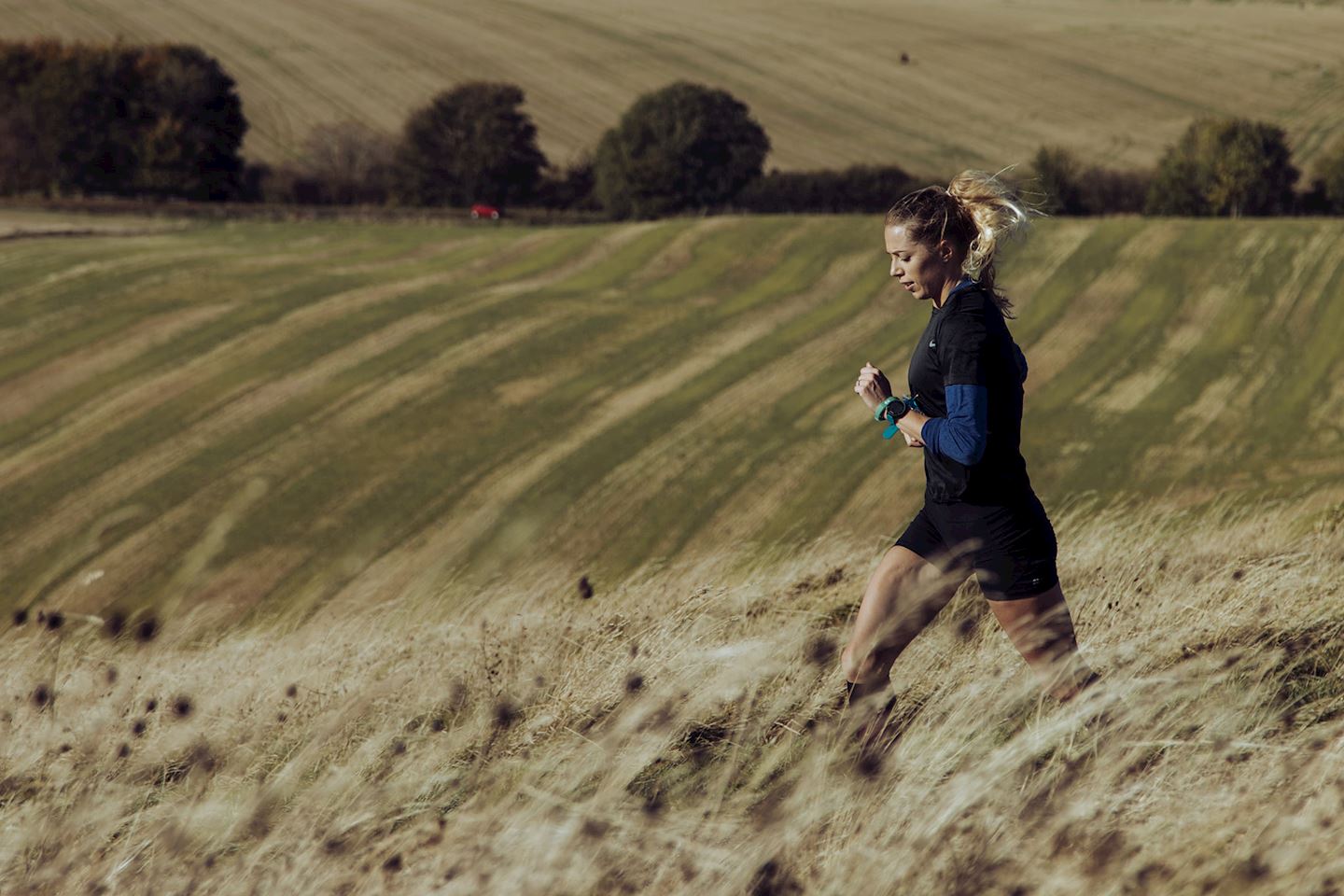 dunstable downs trail half