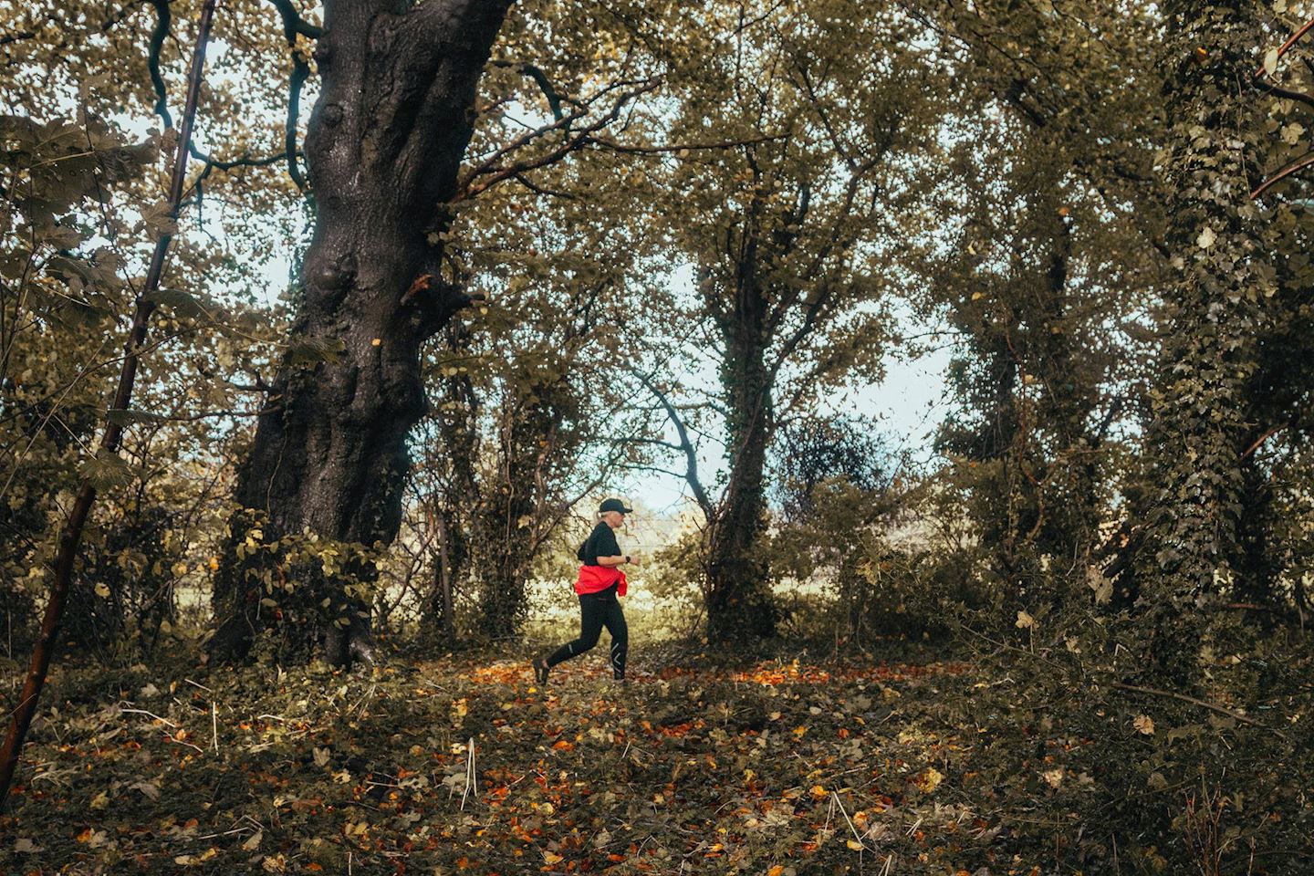 dunstable downs trail half