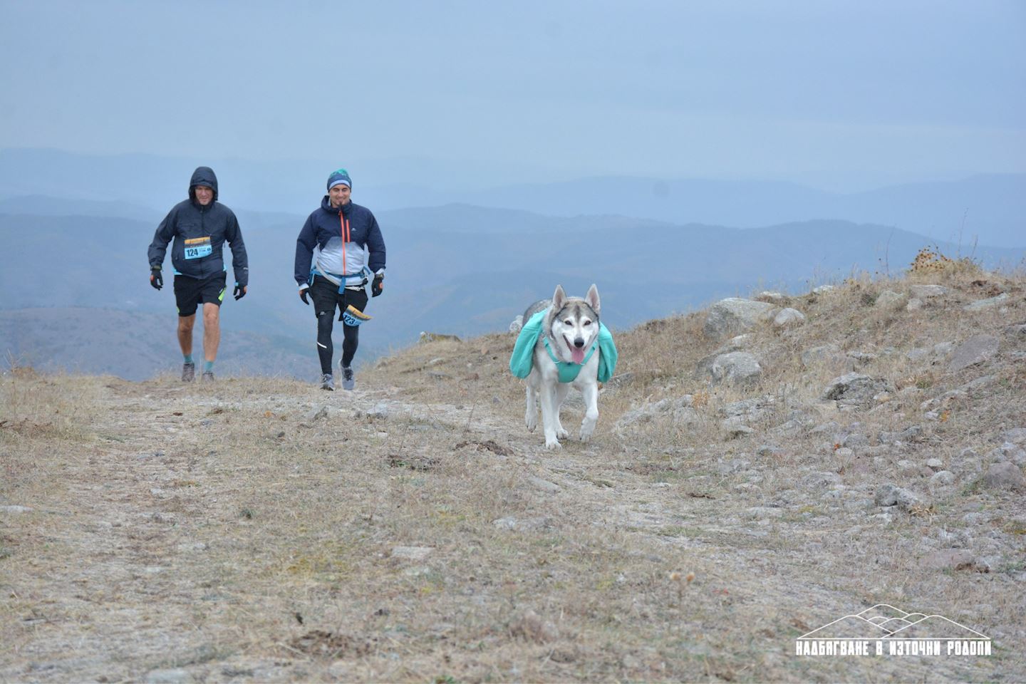 eastern rhodopes wild race