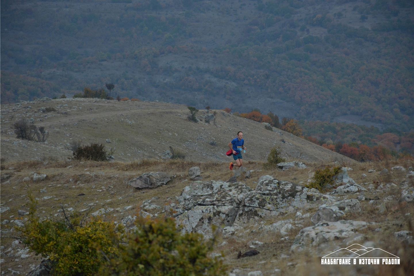 eastern rhodopes wild race