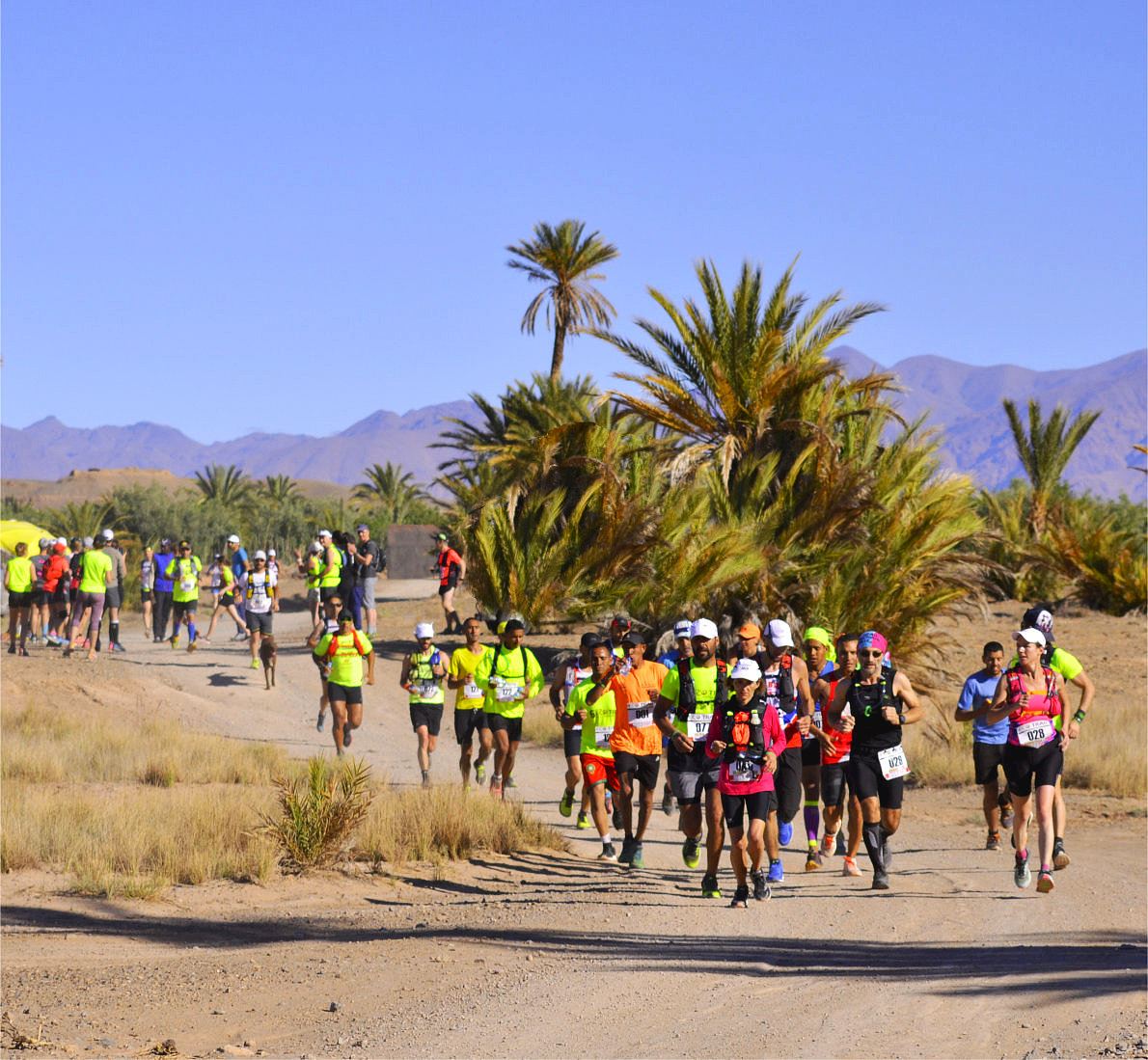 eco trail morocco