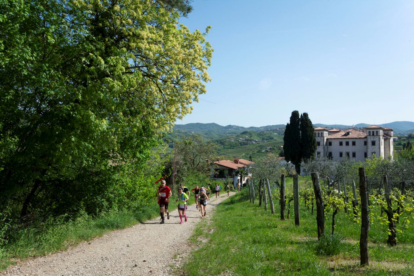 ecomaratona del collio