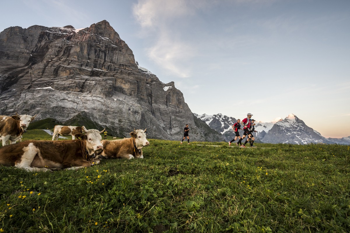 Eiger Ultra Trail by UTMB, 17 7月 2025 World's Marathons